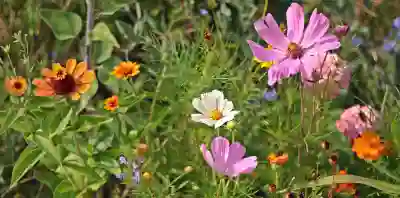 경구 피임약과 자궁경부암 위험 알아보자