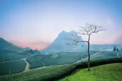 복부대동맥류 초기 증상 알아보자