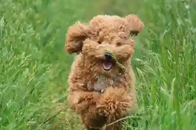 삿포로 그랜드 호텔과 주변 지역 완벽 살펴보기