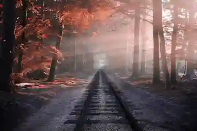 HP 모니터 선택을 위한 필수 체크리스트 알아보자