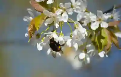 봄 여행을 즐기는 5가지 꿀팁