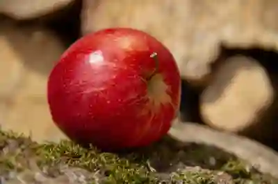 대상포진으로 인한 눈병 증상 완화하는 4가지 방법 알아보자