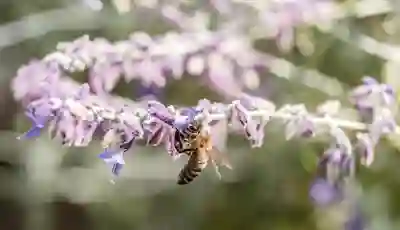 아침저녁 헬스 루틴으로 건강과 체력 동시에 챙기기 위한 방법 알아보기