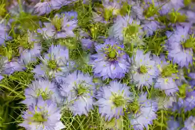 50대 엄마 생신에 건강과 행복을 선물하는 3가지 방법