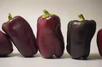 건강종합보험과 가족건강보험 비교하여 현명하게 선택하는 방법