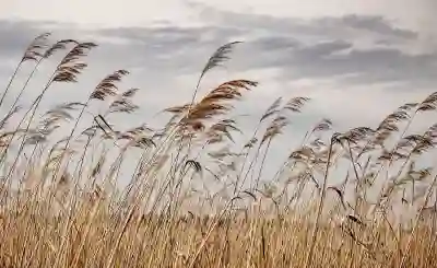 부스코판 효과와 주의사항 완벽 정리하기
