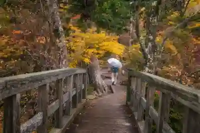 제주도 효도 여행의 매력을 알아보자